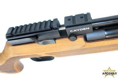 Пневматическая винтовка Crosman Benjamin Cayden к. 5,5 мм орех
